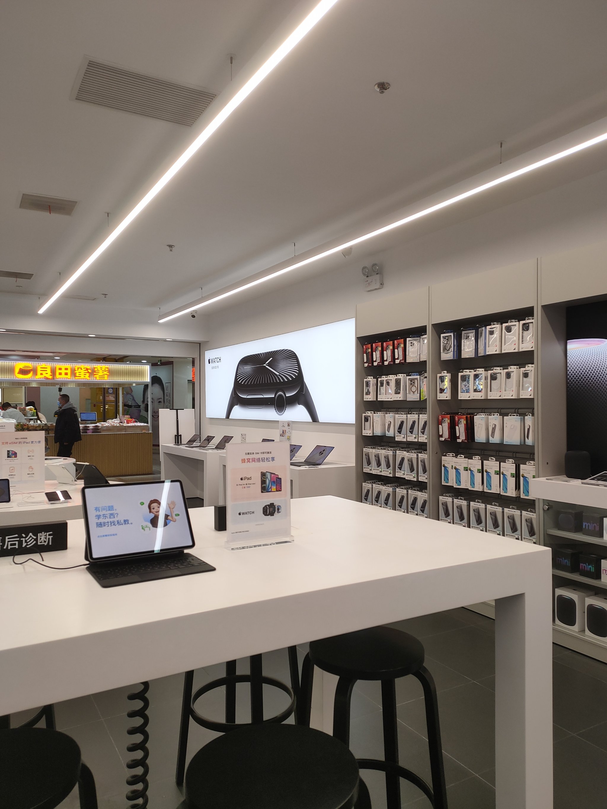 药店端苹果版药店个人简历模板表-第1张图片-太平洋在线下载